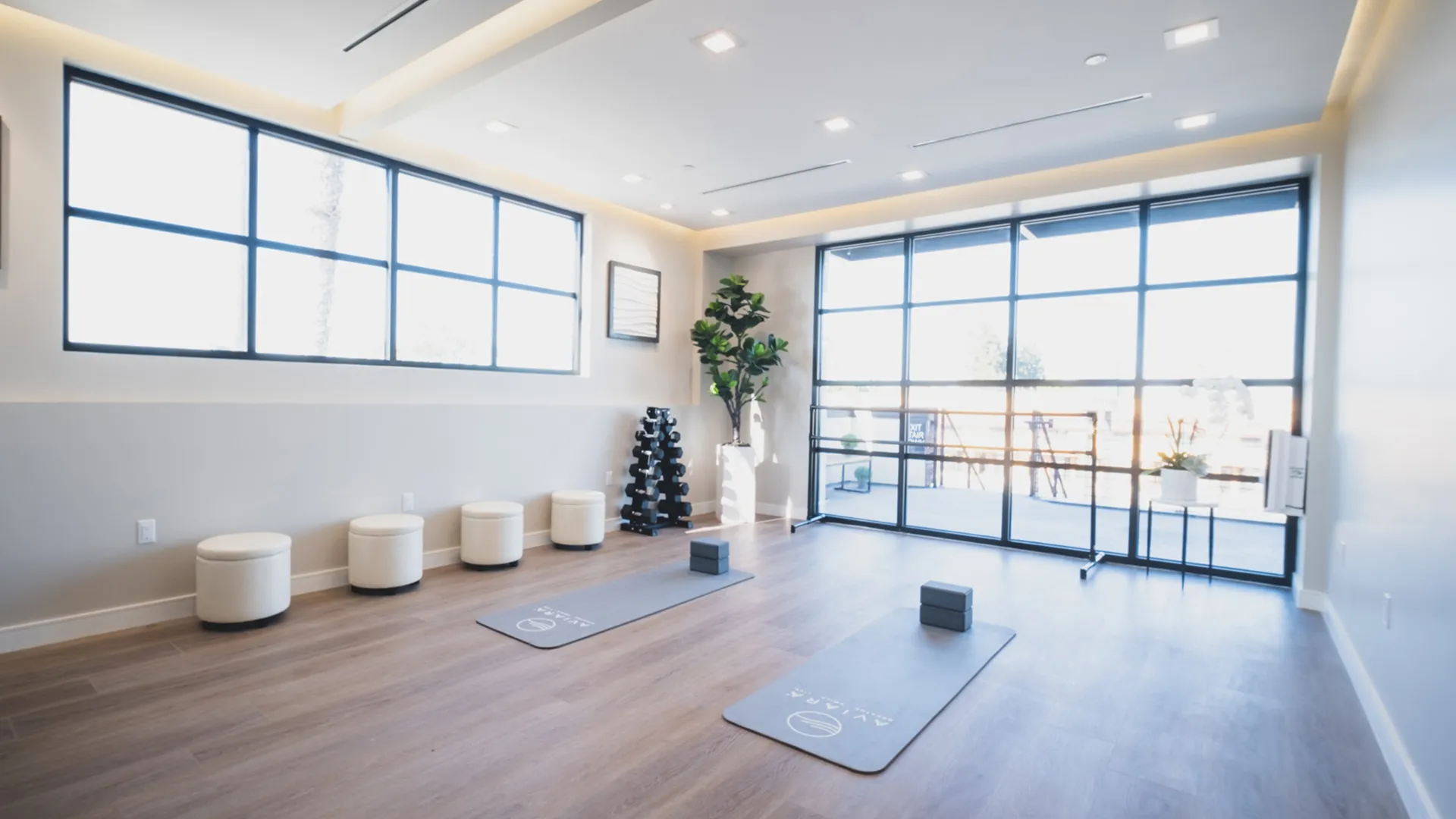 Wellness studio at Aviara Centers with yoga mats, free weights, seating, and floor-to-ceiling windows overlooking the outdoor terrace